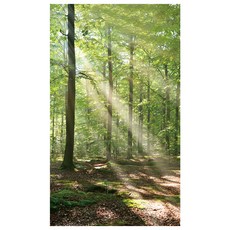 루아즈 패브릭 포스터, 9 한여름의 햇빛