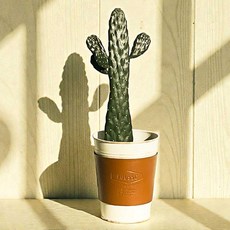 프레시가든 만세선인장 빈티지가죽홀더 철제화분 세트, 혼합색상, 1세트