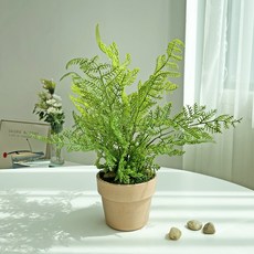 VENUDI Greenery 植物盆栽人造花 9款, 蕨類 + 鵝卵石隨機出貨, 1個