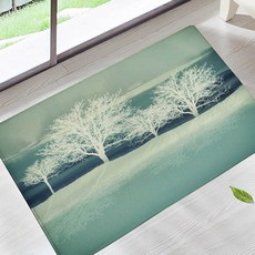 예술작품과 발매트를 동시에 경험하는 가성비 주방 현관 매트, 12