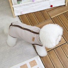 Coco studio 寵物絕育 Coco 大黃蜂刷毛絕育服, 1個, 象牙白