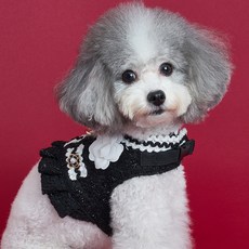 DOG-i 狗狗山茶花胸背帶, 黑色