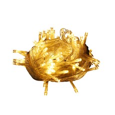 The GG LED聖誕室內燈串 40燈 6m+USB, 暖色, 1組