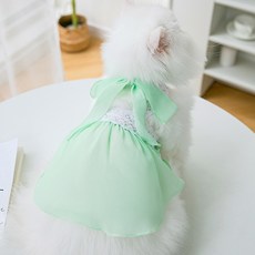 반려동물 아티펫 레이스 쉬폰 나비 드레스, 그린, 1개