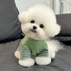 petit dog 狗狗OK條紋T恤, 1個, 綠色