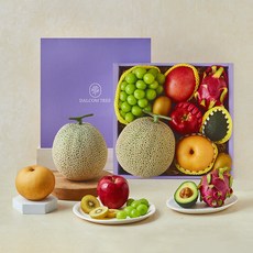 달콤트리 컬러풀 혼합과일 선물세트 1호, 1세트, 4.6kg