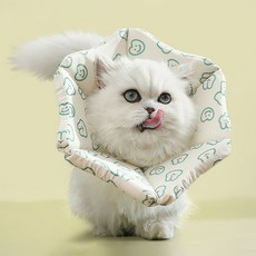 PASTEL PET 寵物圖案波浪頸圈, 綠色