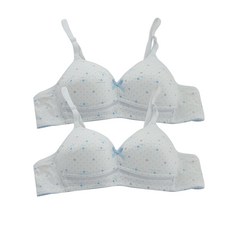 Sweetwear 少女心型內衣 2入