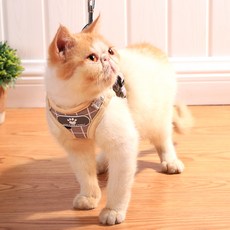 PURPLEPET 貓咪格紋胸背帶, 1個, 米色