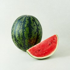 산지직송 당도선별 11brix 수박, 1개, 10kg 이상