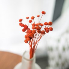 GAPANG 乾花DRYB091, 數字 04 橙色