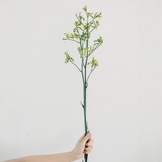 GAPANG 霧藍乾花DRYB134, 綠色數字 08