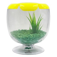 Rora Pet Most Pet酒紅色水族箱, 常綠