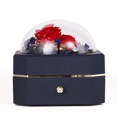 MYONGYANG PEEF 珠寶戒指裝飾托盤首飾盒 YT_RA6166, 海軍藍, 1個