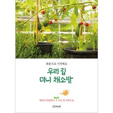 LEESCOM 我家迷你菜園, 藤田智