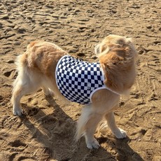 Barkdog 狗狗格紋涼感短版T恤, 1個, 格紋海軍藍