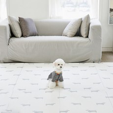 PETRONG 寵物膽囊墊, C型