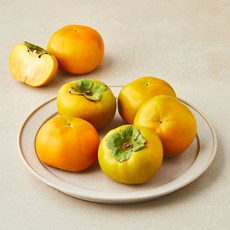 북창원농협 줄단감, 1개, 1.25kg(특대과, 5입)