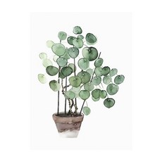 Aiemmini DIY 星光畫+光纖心情燈套組 30 x 40cm, 特里安