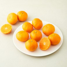 새콤달콤 레드향, 1개, 2kg(소과, 10~13입)