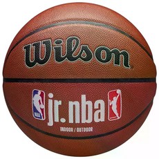 윌슨 Jr NBA Fam Logo 어센틱 실내외 농구공, 혼합색상, 1개