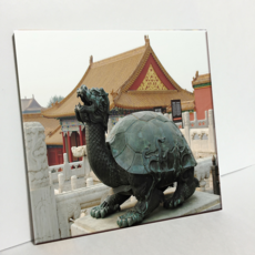 HTP 瓷磚 紫禁城烏龜 C1125