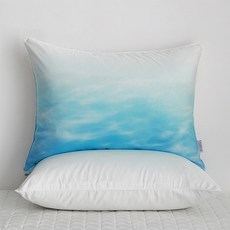 모젤 알러지케어 2겹 베개커버