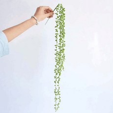 Store91尤加利葉拍攝道具 S, 混合顏色, 1個