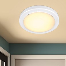 원하 EL 유백 원형 방습형 플리커프리 직부등 LED 20W, 화이트 + 전구색
