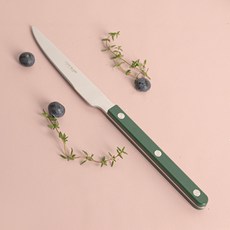 티니블랑 레브 테이블 디너 나이프, 1개, 그린