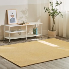 Buy Beam Simple day純色地毯