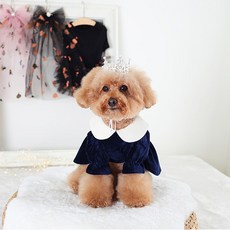 AMYLOVESPET JJ公主皇冠大珍珠, 1個, 銀