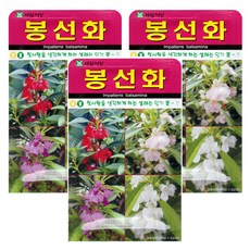 아람종묘 봉선화 꽃 씨앗, 3개
