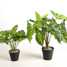 싱고디움 인조나무 2종 + 원예용 리얼스톤 세트, 혼합색상, 1세트