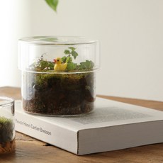 글라스코 에코 테라리움 용기 8.5cm SH0211, 1개
