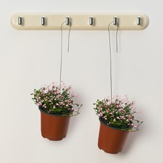 농업회사법인 주식회사 코코도르팜 행잉플랜트 소형 핑크트리안, 핑크 + 그린, 2개