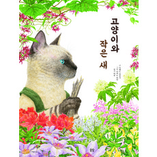 고양이와 작은 새, 1권, 요요