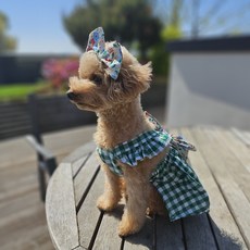 강아지 체크리본 원피스 + 머리핀 세트, 그린, 1세트