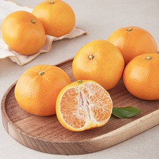 프레시픽 천혜향, 1.5kg(중과, 6~7입), 1팩