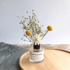 GAPANG 03號乾花DRYD011+花瓶套組, 混色