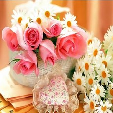 PIPO DIY 數字油畫 40 x 50 cm, 玫瑰與野菊花