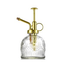 Life Sweet 家庭 住宅 花盆 花朵 花瓶 園藝 園藝用 噴水器, 透明金色, 1個