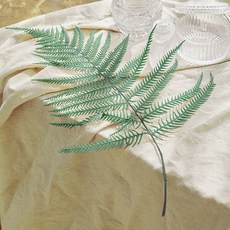 GAPANG 乾燥花 12號 DRYB07412, 綠色, 1個