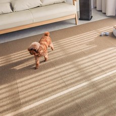 딩동펫 반려동물 블럭카페트 20p, 브라운