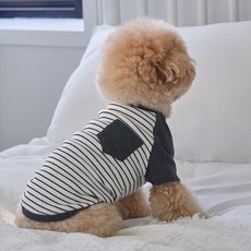 DOG-i 狗狗口袋條紋T恤, 白色, 1個