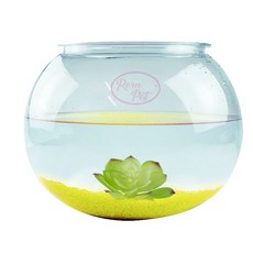 Rora Pet 圓形魚缸+魚缸沙+多肉植物組, 魚缸沙(亮黃沙) 多肉植物(隨機出貨)