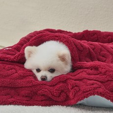 도그아이 반려동물 펫 꽈배기 담요, 버건디, 1개
