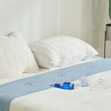 베네베딩 쿨넥사 여름 냉감 밴드형 베개커버