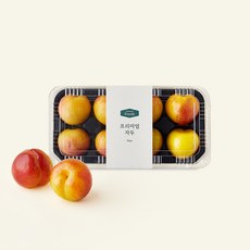 프리미엄 추희 자두, 1kg, 1개