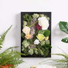 flowertree Nature Scandia永生苔相框 P, 混合色